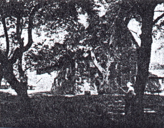 Schröders Hof